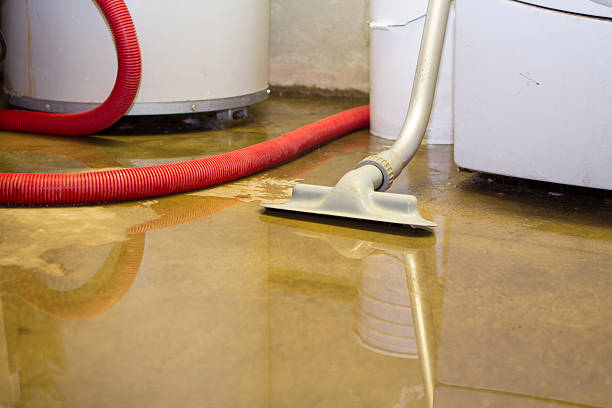 Best Basement water damage restoration  in Algonquin, MD
