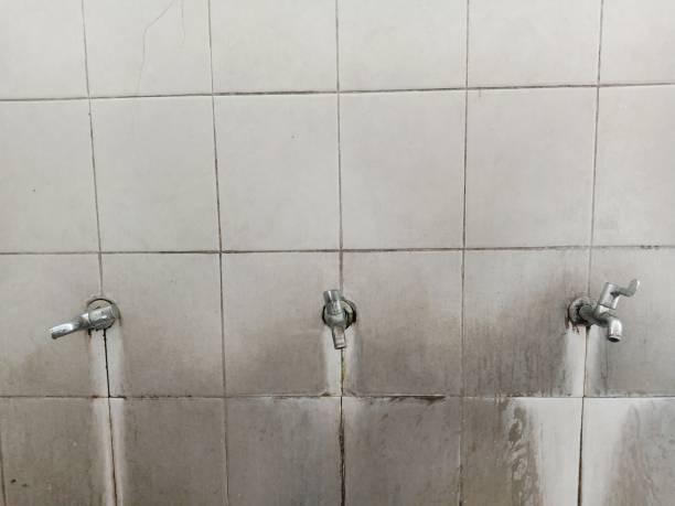 Best Water damage restoration insurance claims  in Algonquin, MD